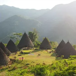 NTT Flores and Komodo Island