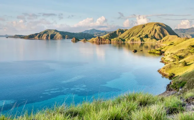Shore Excursions RINCA & KOMODO TOUR  3 DAYS / 2 NIGHTS 7 ~blog/2023/10/15/an_intrepids_encounter_with_the_wildlifes_of_rinca_island_lamima_luxury_sailing_yacth_charter_1
