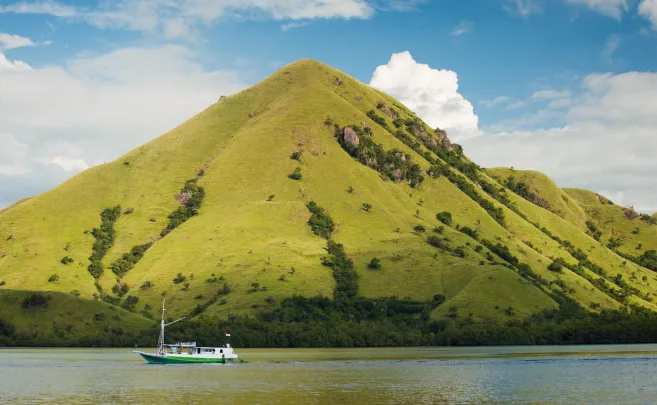 Shore Excursions RINCA & KOMODO TOUR  3 DAYS / 2 NIGHTS 5 ~blog/2023/10/15/df2f994b56a191f082ff32ee84d5c524_komodo_rinca_islands