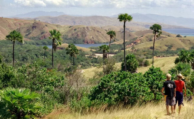 Shore Excursions RINCA & KOMODO TOUR  3 DAYS / 2 NIGHTS 9 ~blog/2023/10/15/rinca2