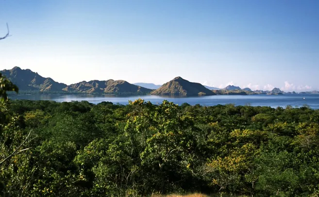 Shore Excursions RINCA & KOMODO TOUR  3 DAYS / 2 NIGHTS 2 ~blog/2023/10/15/rinca2_1